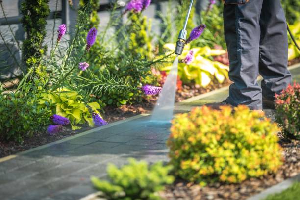 Best Pre-Holiday Cleaning  in Duncan, SC